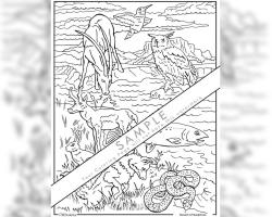 Desert of Surprises Coloring Page