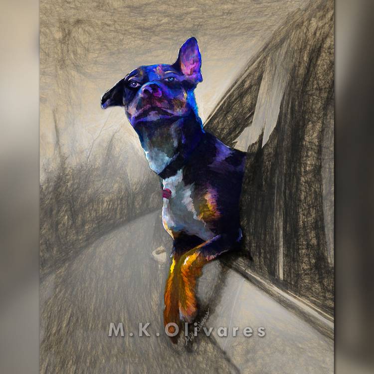 Foster Dog Portrait, 