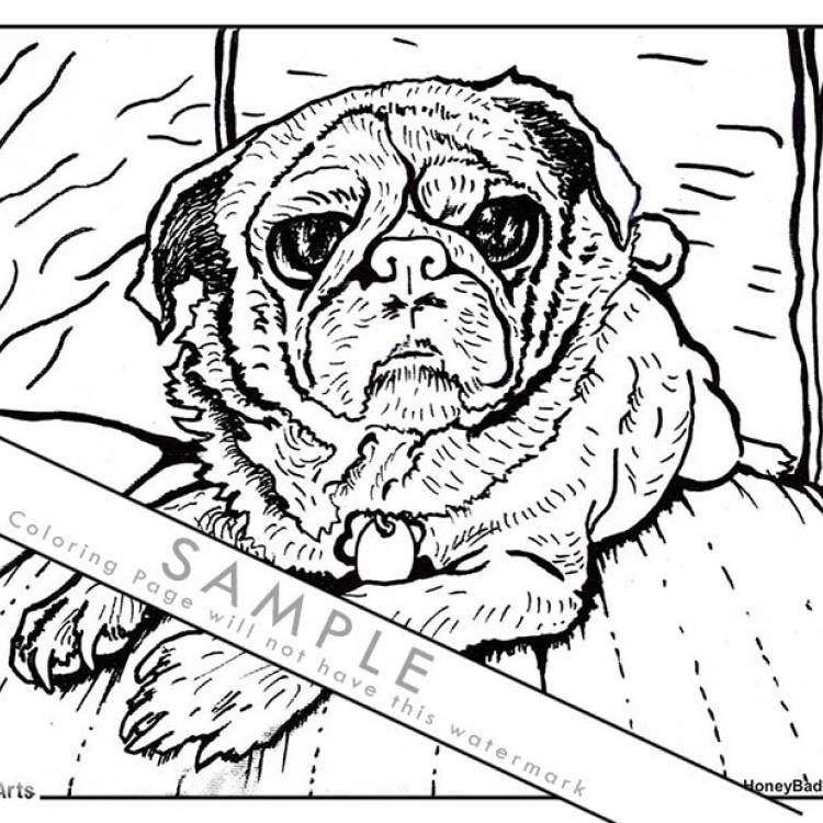 HoneyBadger's Coloring Page