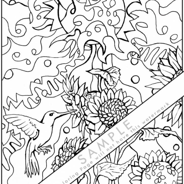 Hummingbird Solstice Coloring Page
