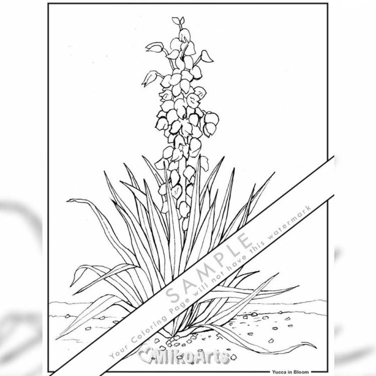 Yucca in Bloom Coloring Page